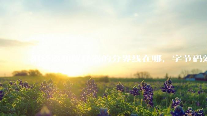 编译器和解释器的分界线在哪，字节码效率能否无限接近机器码？